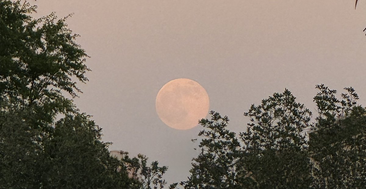 «.. مجدَ النُّفوسِ يَقْظَةُ حِسِّ»