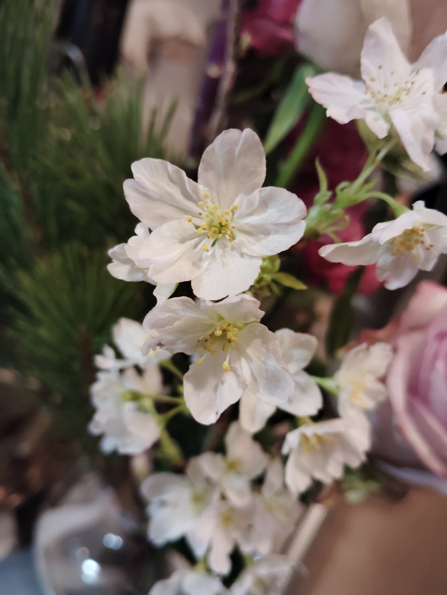 Mimu🦙🌼 (@Mimu__Memo) / Posts / X