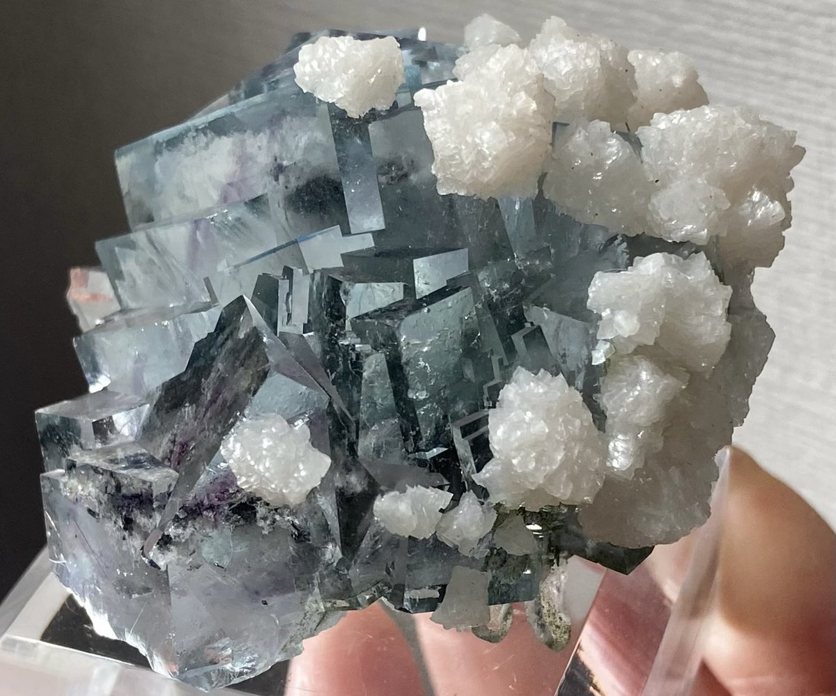 ヤマアラishi (@yamaaraishi1) / Posts / X