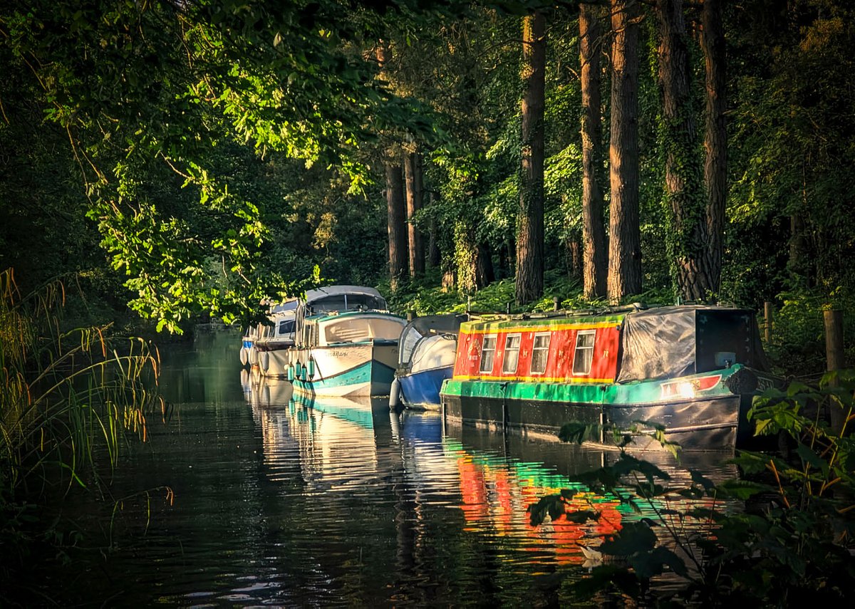 The Basingstoke Canal Society tweet media