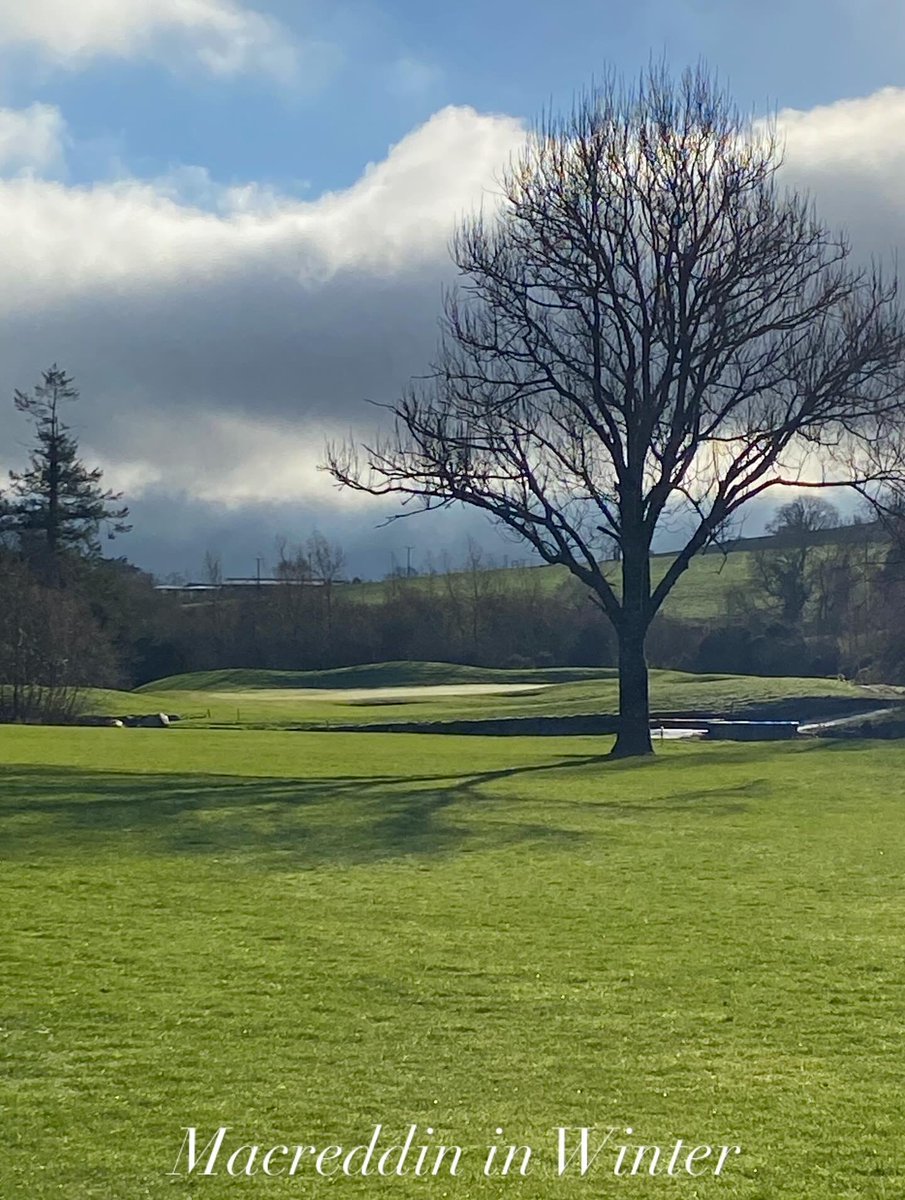 MacreddinGC tweet media