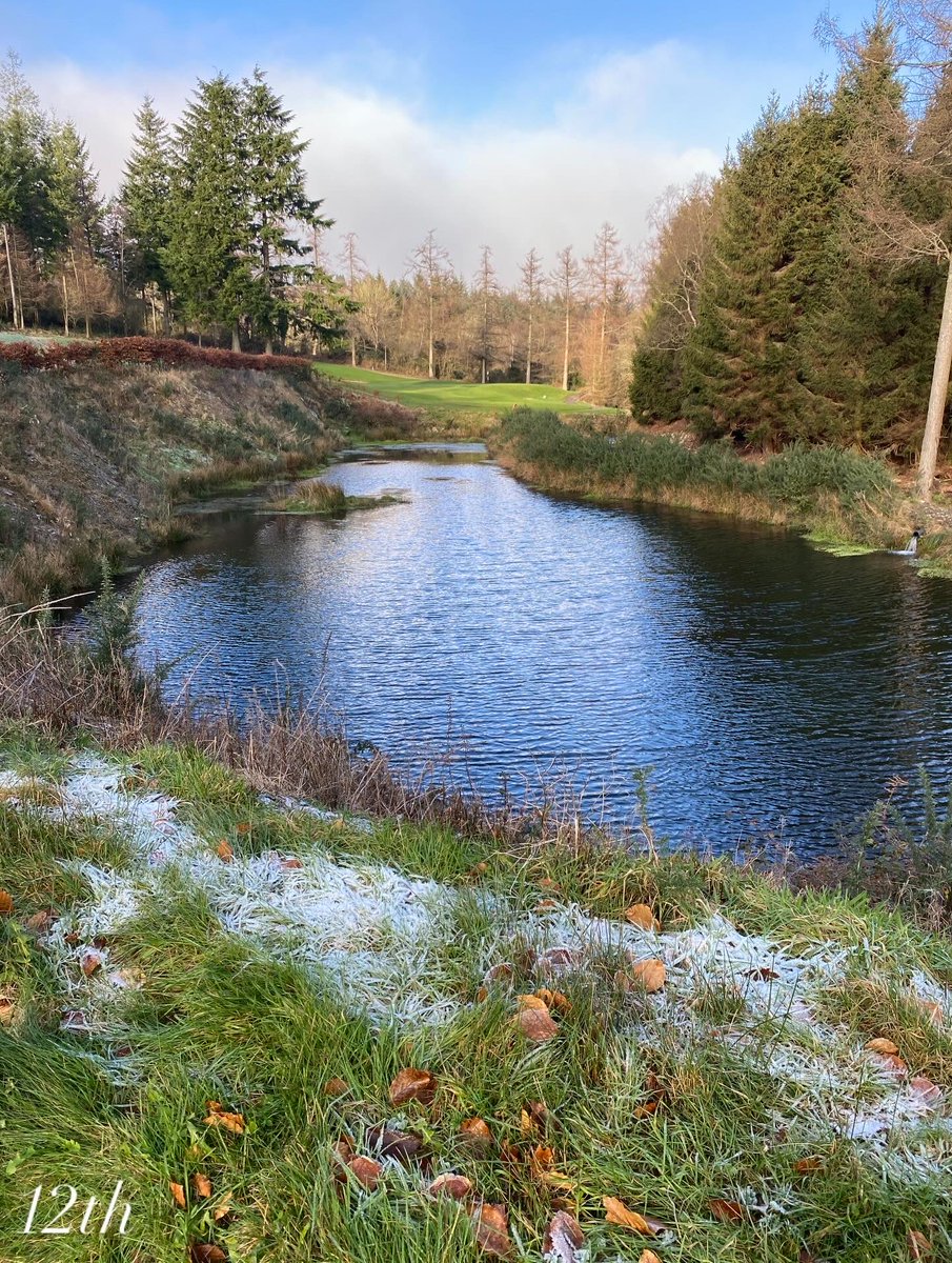 MacreddinGC tweet media