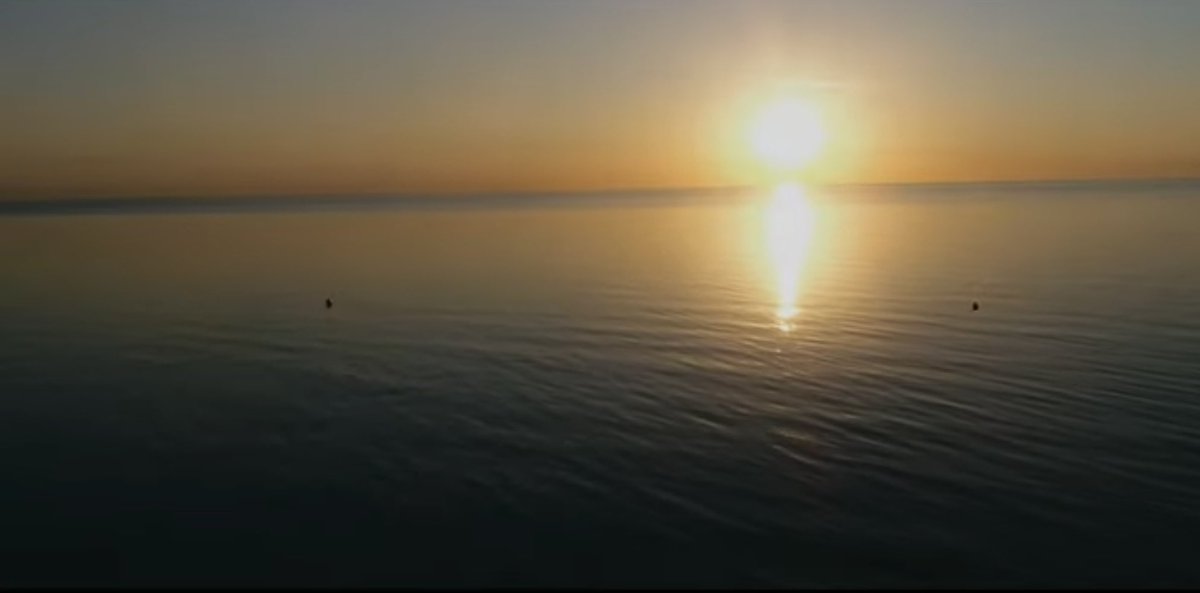 Zane Zilberte tweet media