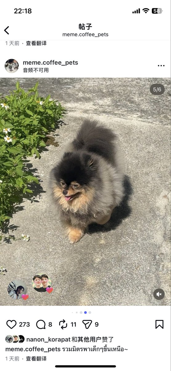 Janecandic's tweet photo. So, Janhae really secretly traveled with Nanon's family with his pets again. Oh, my God, it's so sweet~
@mynameisnanon @Janhae @NONNIE_PK 

#mynameisnanon 
#janhae https://t.co/icuZ1R6IOG