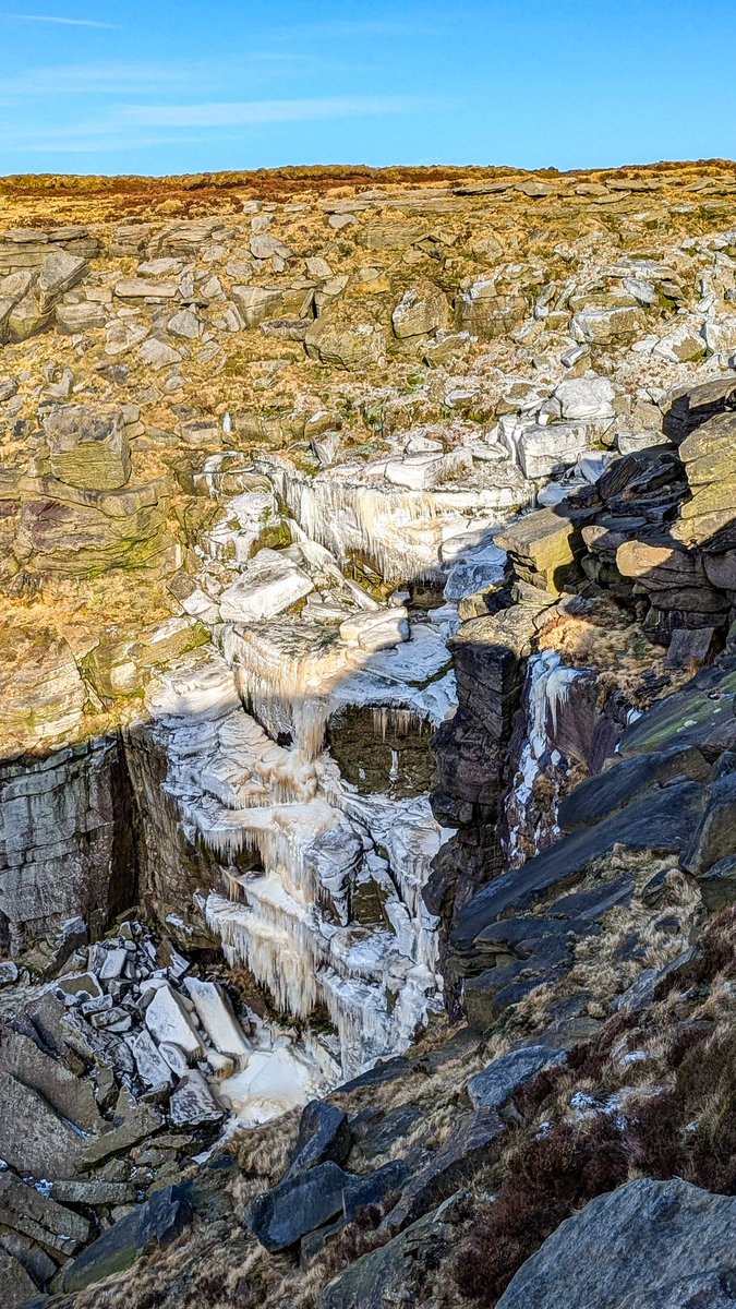 Sarah Lister tweet media