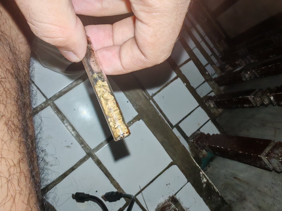 Solomissionn's tweet image. kingkong🌬️