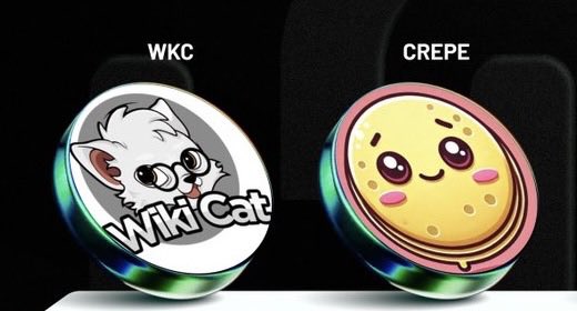 BOLDwkc's tweet photo. All i see
It will be loud

$wkc
$crepe https://t.co/dYQ0w0Vfkh