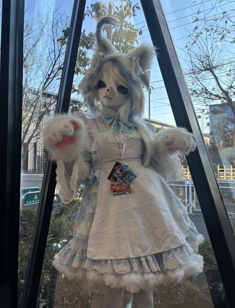 ケモケモ ケモノクロス2 旦那様✨ にゃーﾝｯ🩵 #JMoF2026 #着ぐるみ