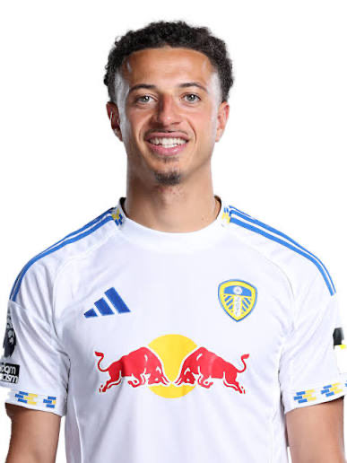 Leeds United Ireland tweet media