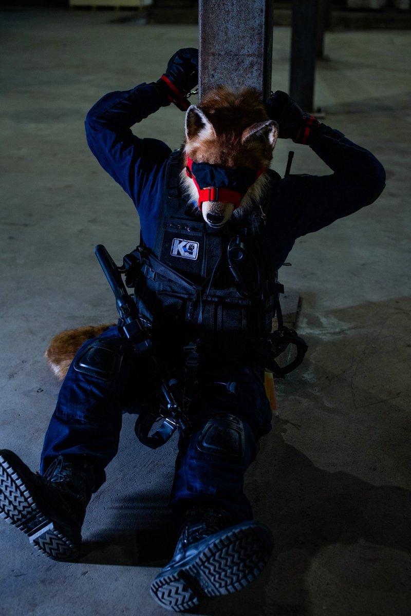 くっ...これを外せ...

#獣身売買4
#創造トリアノン 
#FursuitEveryday 

📸 Photo by <a href="/wolfroof/">うぇあ/ware</a>