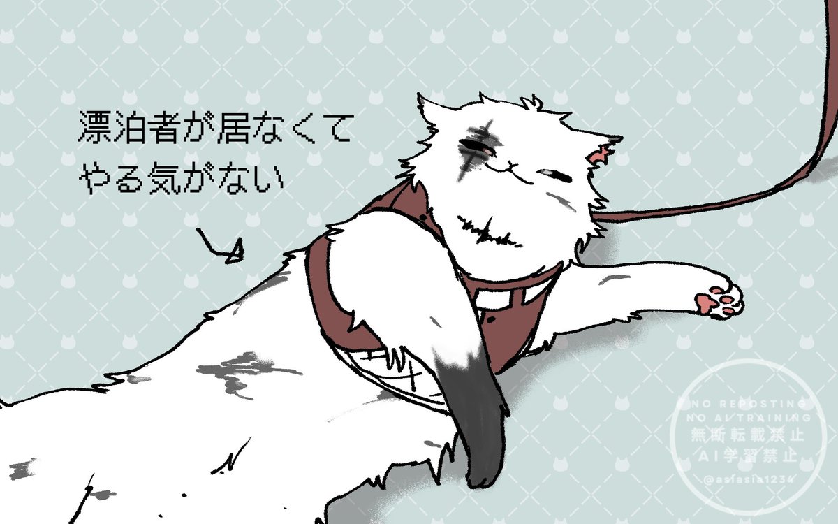 asiasia1234's tweet image. ブサ🐱ス