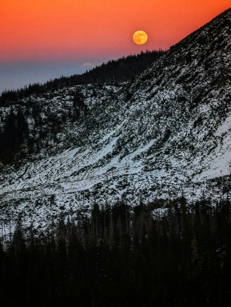 𝙼𝚊𝚖𝚒🌹 (@mami_mami813) / Posts / X