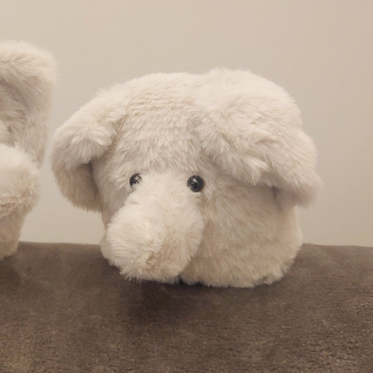 mu___9ri's tweet image. お正月終了 で しょんぼり している ぞーさん🐘