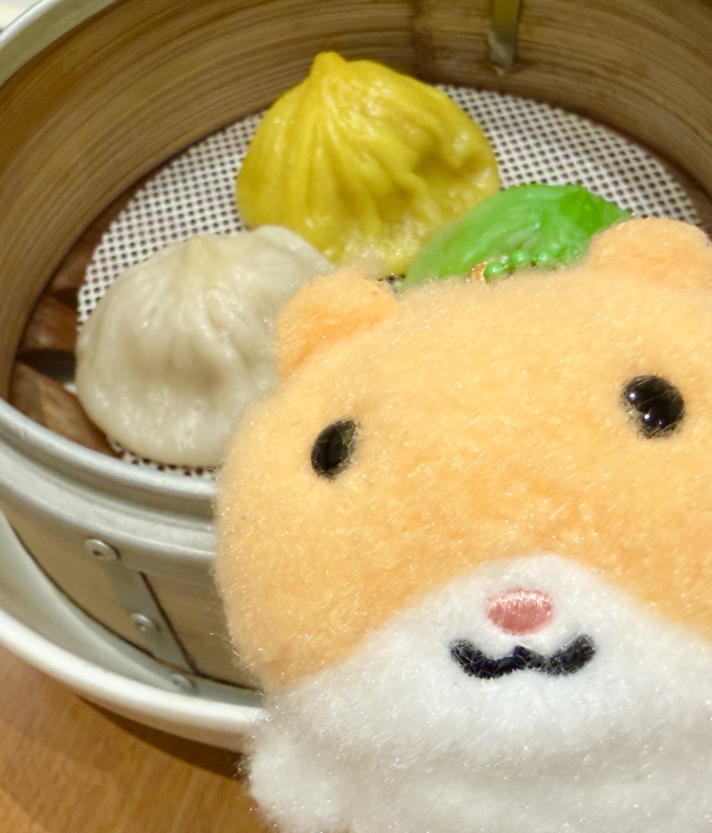 샤오롱바오를 찍으려고 하면 들어오는 함무라비🐹🥟