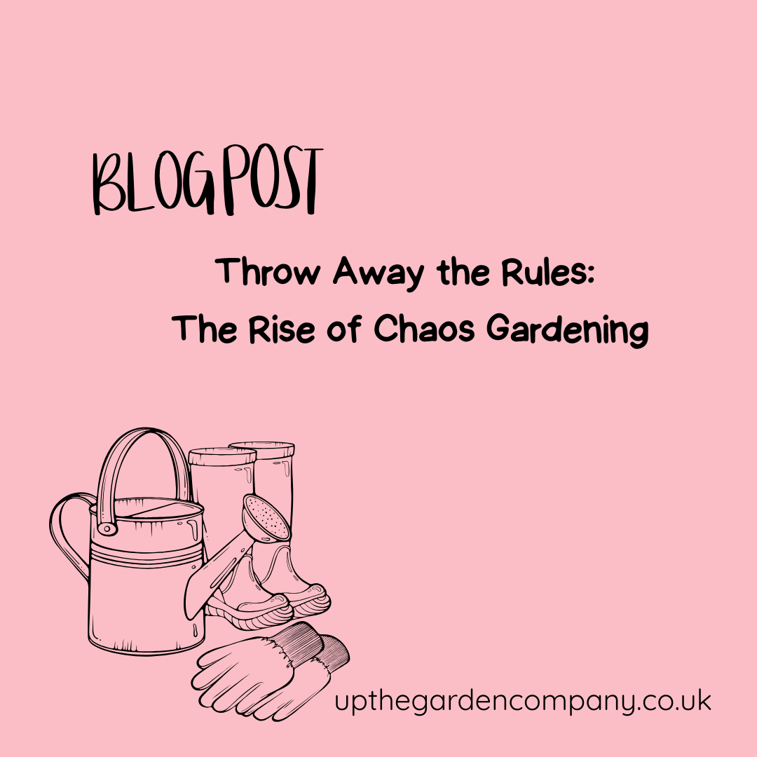 UpTheGardenCo's tweet photo. 🌿 Embrace a little chaos in your garden! Let nature take the lead with wild corners, self-sown seedlings and untamed beauty that supports pollinators.
https://t.co/LDteJTvxjE

#ChaosGardening #WildGarden #NatureFriendly #BritishGardens #Pollinators #GardenLife #GrowWild https://t.co/cAF64DXMlB
