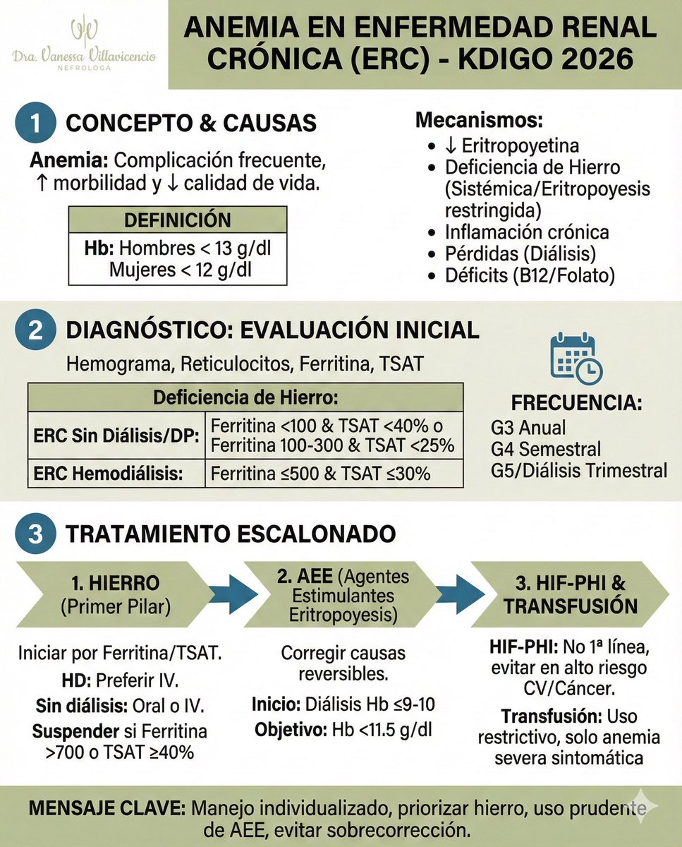 elba_vanessa's tweet image. Guarda este post! ✅

💾 Resumen clave sobre el manejo de la Anemia en Enfermedad Renal Crónica (ERC) basado en las guías KDIGO 2026. 👇

📌ANEMIA y ENFERMEDAD RENAL

🩸 1. ¿QUÉ ES Y POR QUÉ IMPORTA?

Es una complicación frecuente que aumenta la mortalidad y reduce la calidad de…
