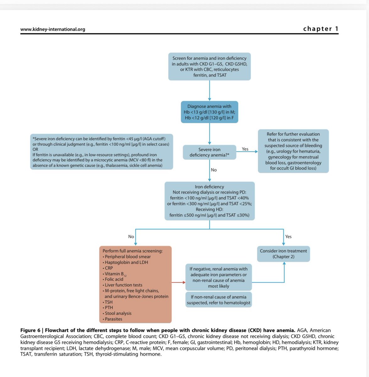 elba_vanessa's tweet image. Guarda este post! ✅

💾 Resumen clave sobre el manejo de la Anemia en Enfermedad Renal Crónica (ERC) basado en las guías KDIGO 2026. 👇

📌ANEMIA y ENFERMEDAD RENAL

🩸 1. ¿QUÉ ES Y POR QUÉ IMPORTA?

Es una complicación frecuente que aumenta la mortalidad y reduce la calidad de…