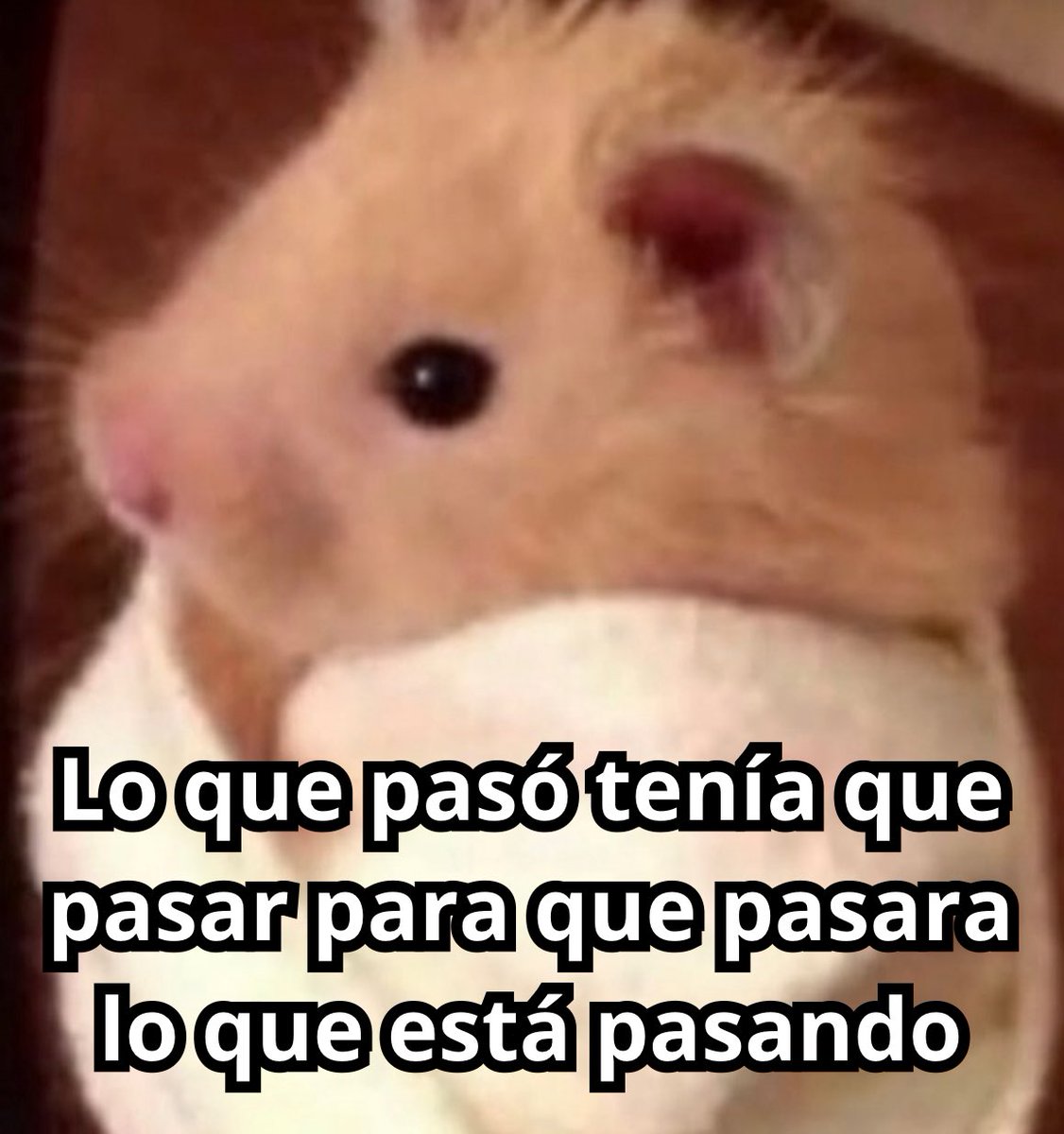 DROSS (@eldiariodedross) / Posts / X, image size:1126x1200