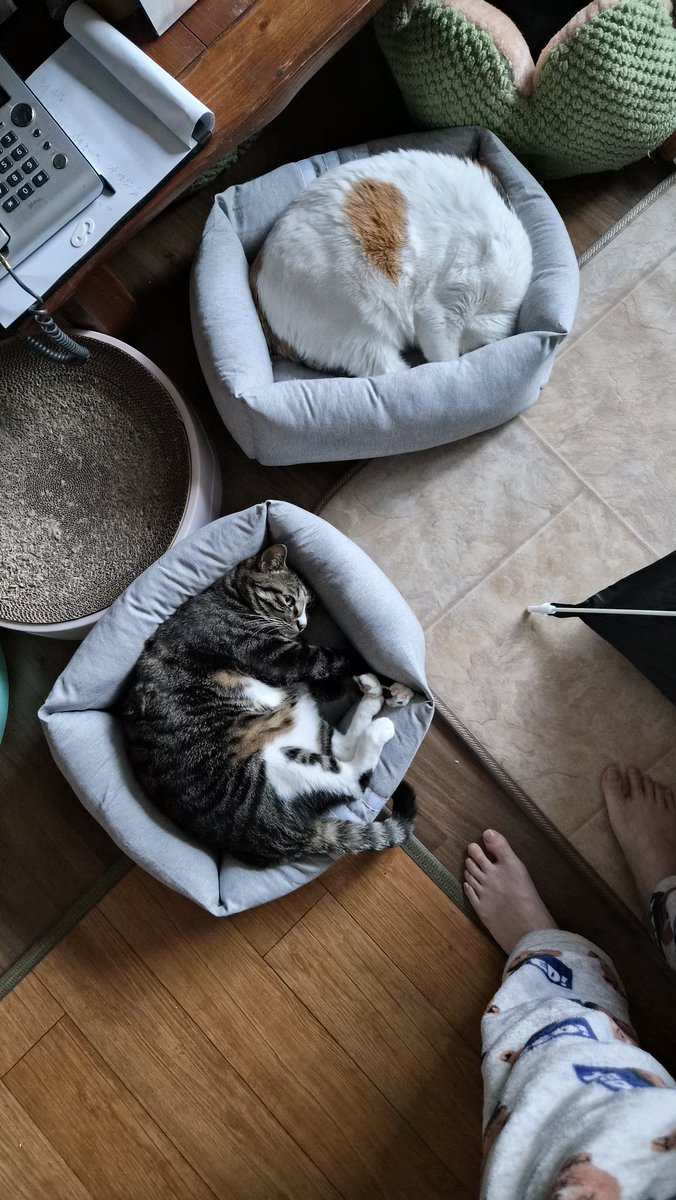 ㄱㅣ여운  내새끼들