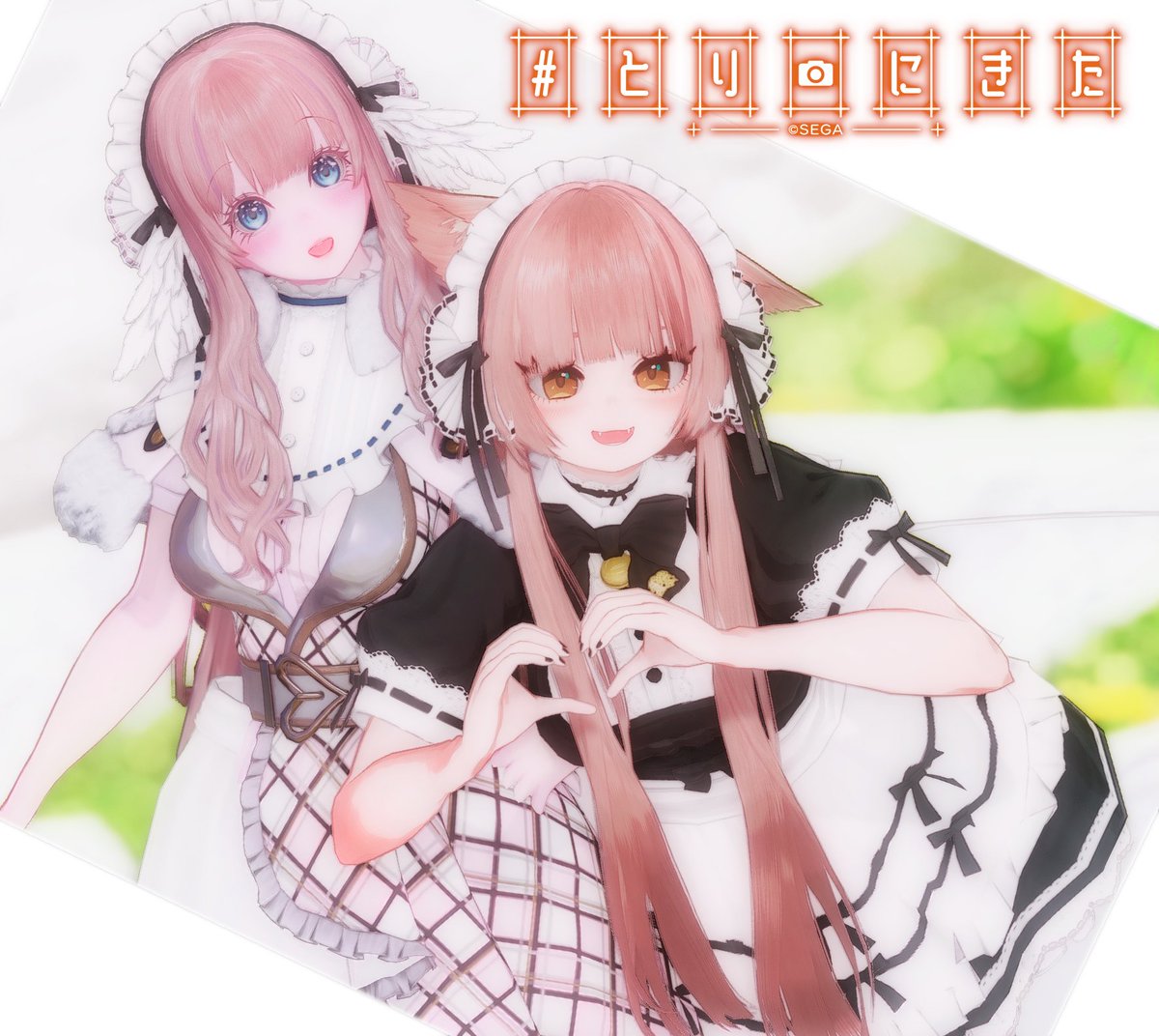 納得できなくてもう一回行っちゃうやつ！