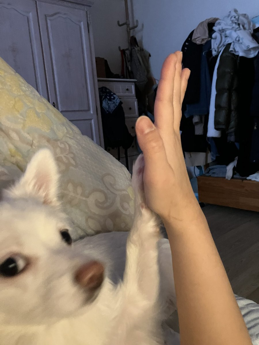 하이파이브
주작아님