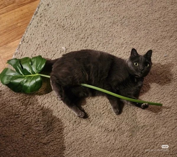 he's gonna fly any second