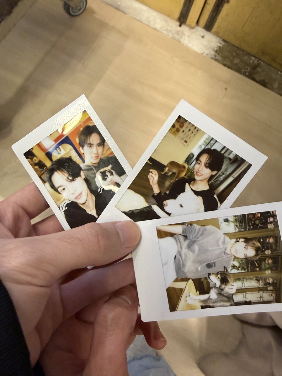 chira_patt's tweet image. ขอบคุณสถานที่นะคับอยากเล่นกับน้องหมาน้องแมวพอดีเลยย ขอบคุณฟี่ด้วยสนุกมากก
DMD RLT MISSION 3
#DMDFriendshipSS3EP3