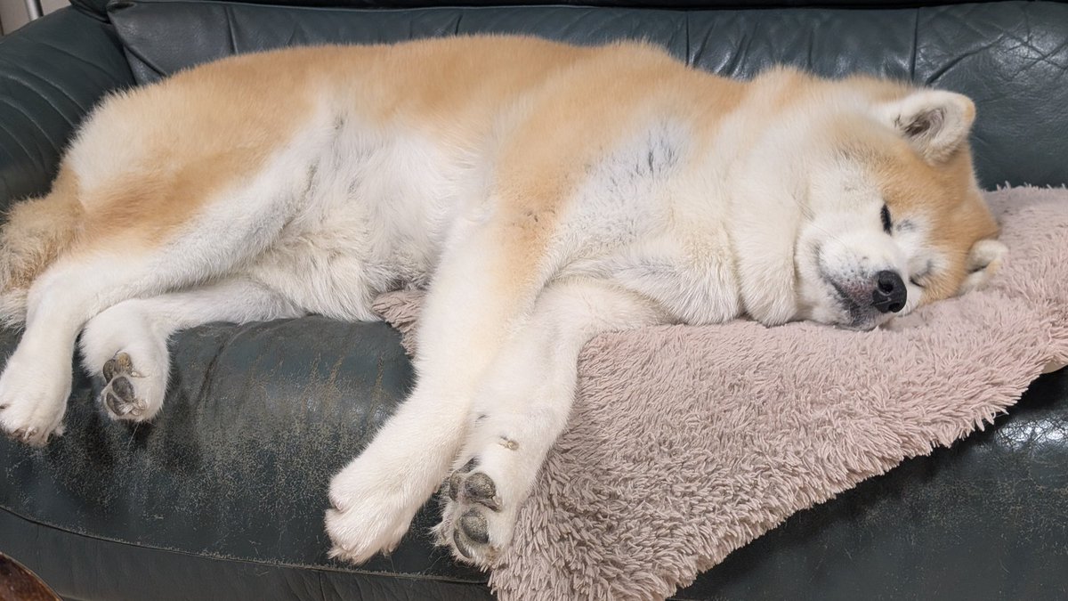 ْ (@65907_30_4) / Posts / X