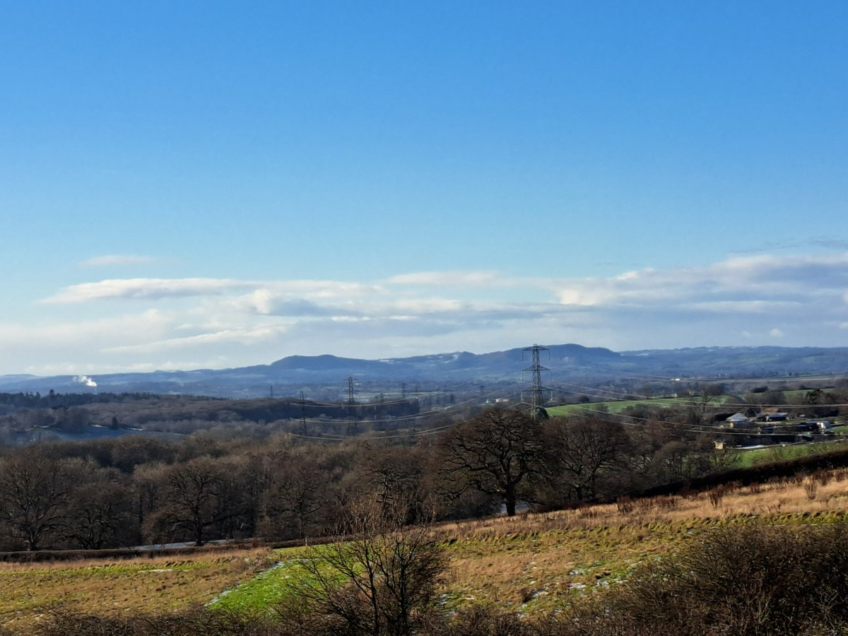 Conrad Palmer tweet media