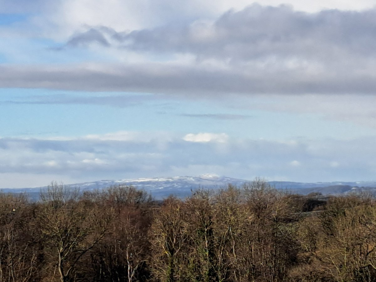 Conrad Palmer tweet media