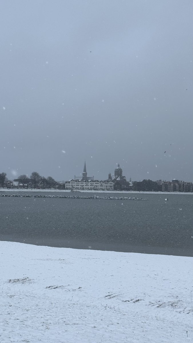 #Winter 2026 <a href="/229/">𝟚𝟚𝟡</a>