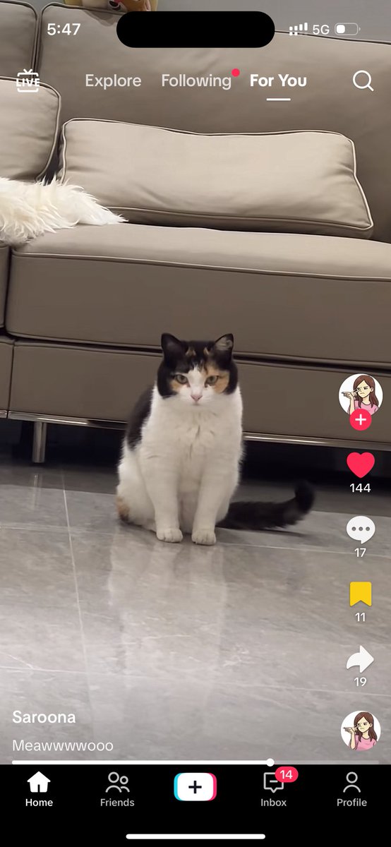 irinsideout's tweet image. Claire it’s French