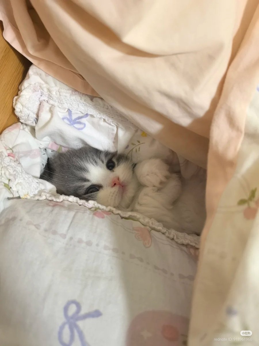 smol