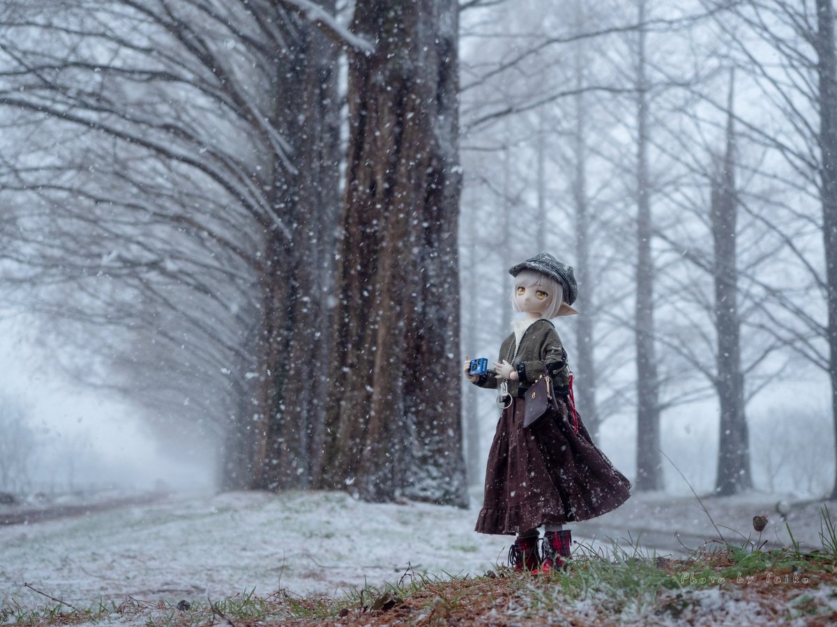 シューペリアの先日のもう一カット
ほぼこれだけ。
雪まみれになる直前