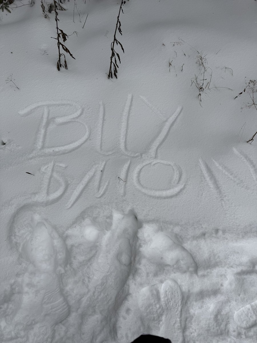 Kingloui tweet media