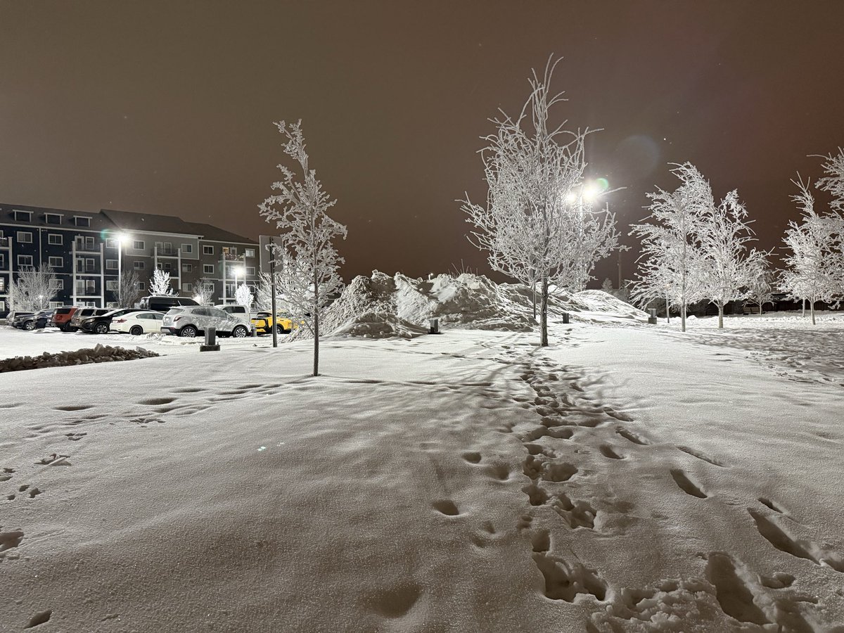 Sean Coyle tweet media