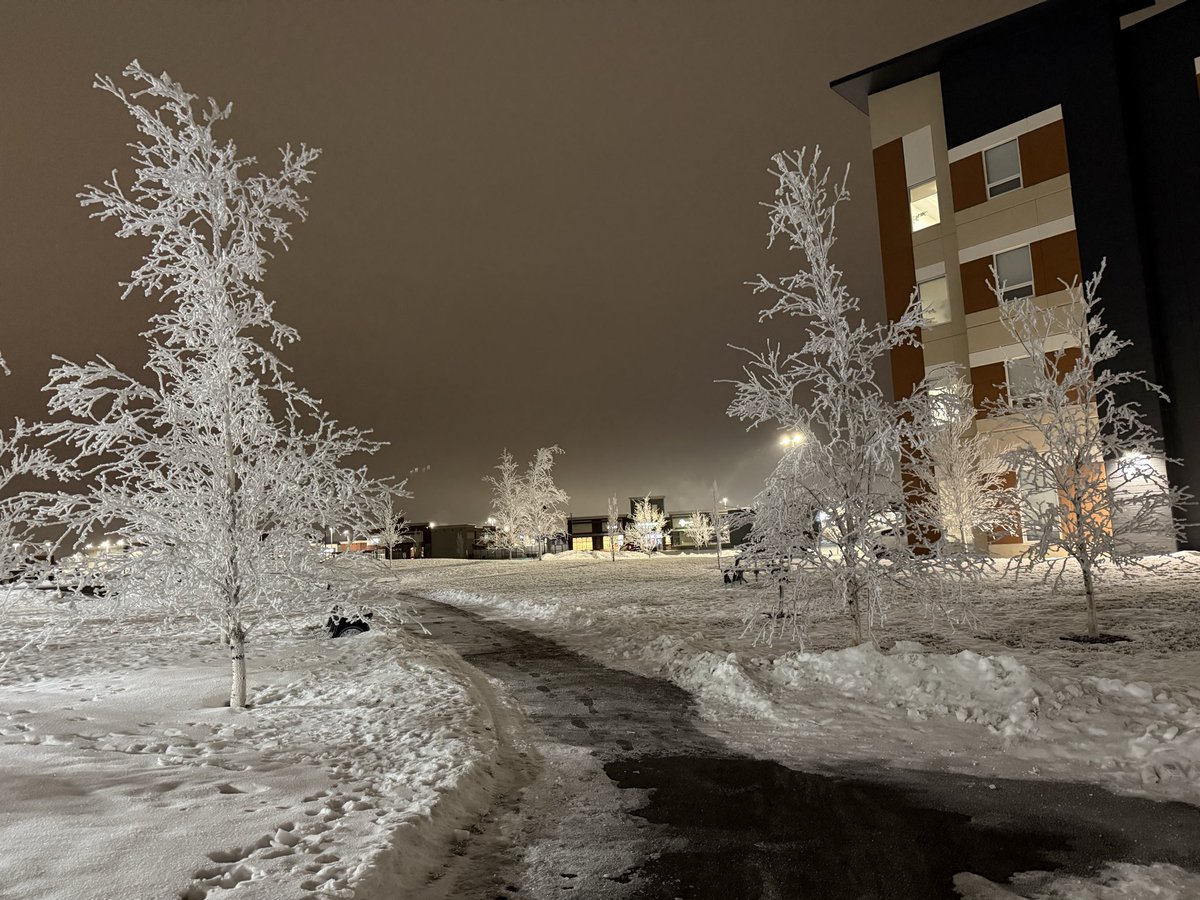 Sean Coyle tweet media