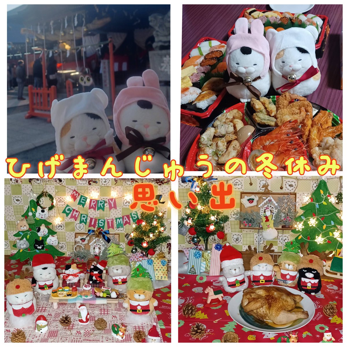 我が家のひげまんじゅうの冬休み思い出を振り返る😻 みーさま