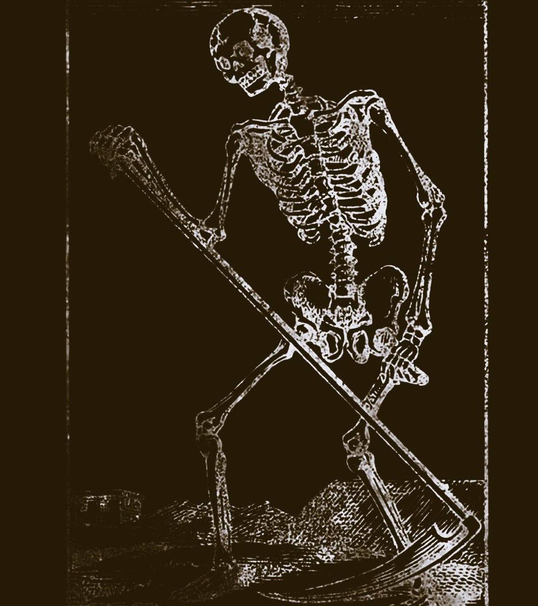 𝕯𝖊𝖆𝖙𝖍 tweet media