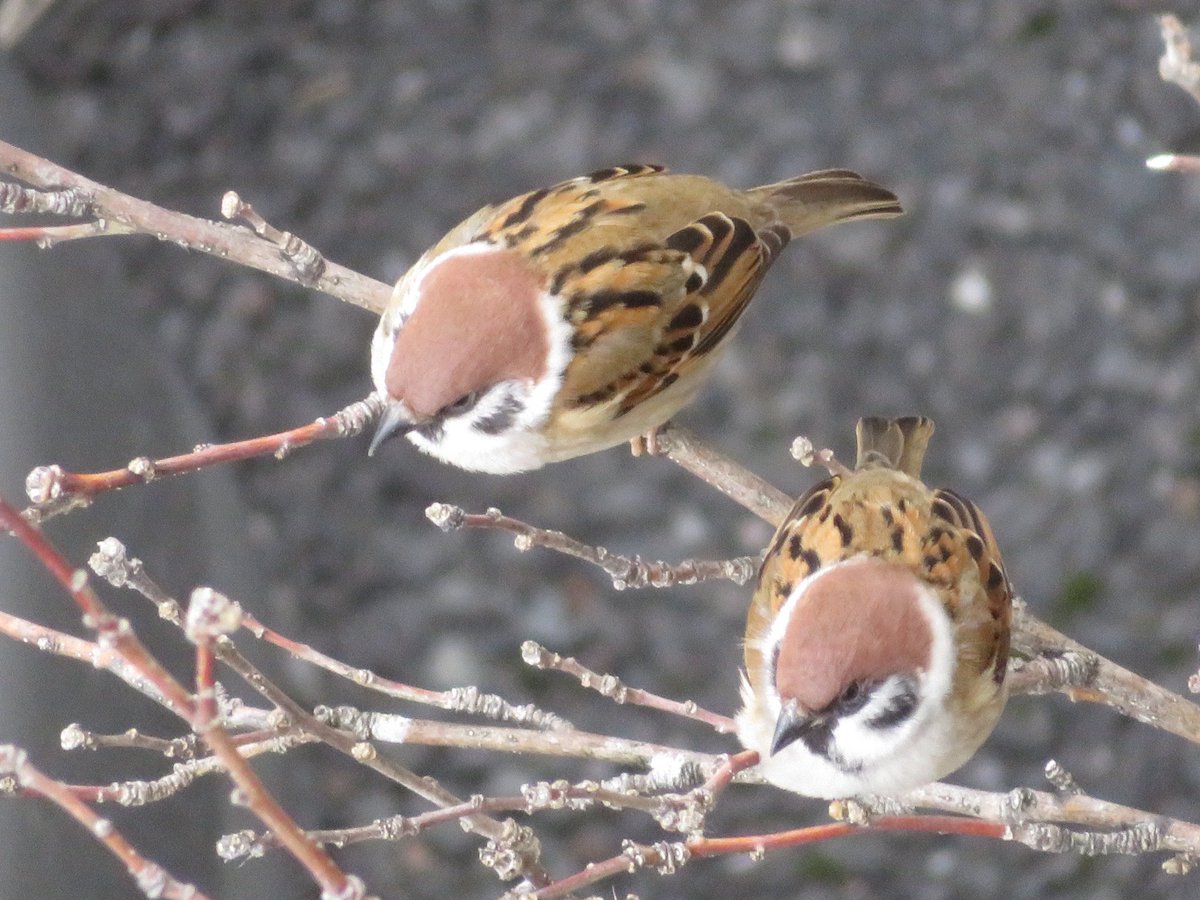 かずちん かずちん (@kazuchin0801) / Posts / X
