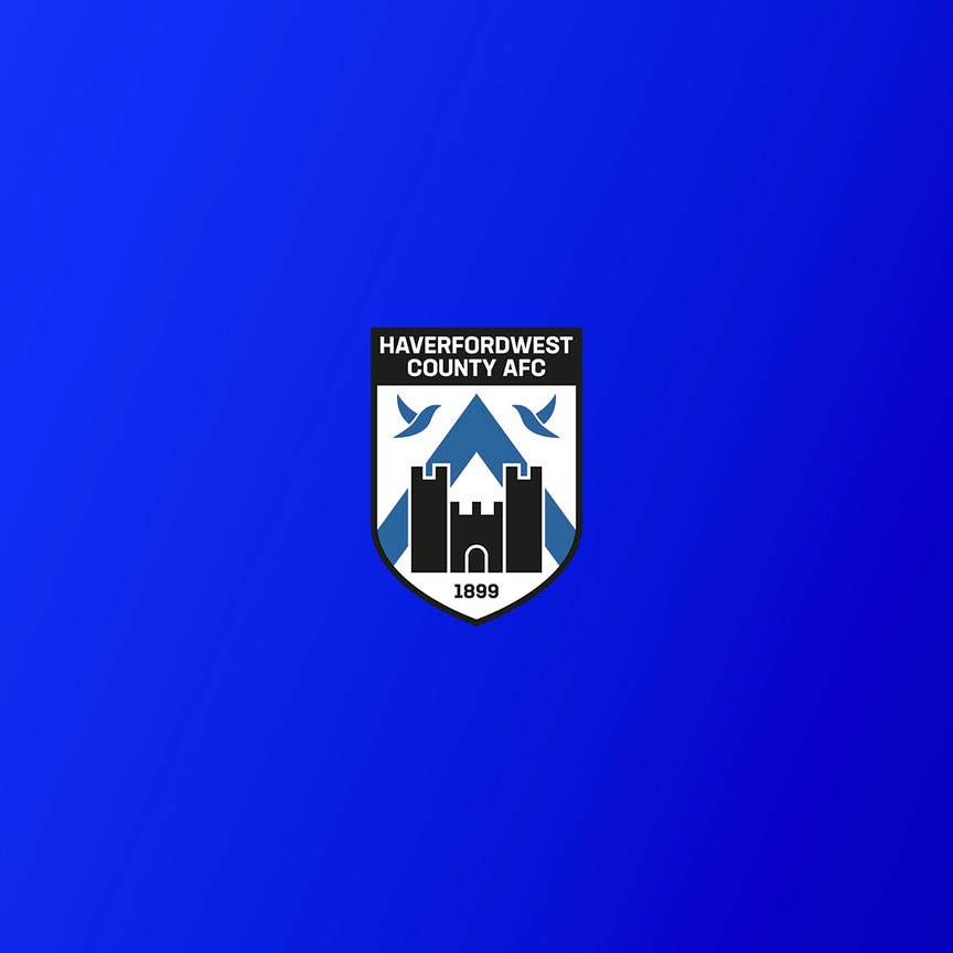 Morley Sports Management (MSM), the controlling entity of Haverfordwest County AFC, have completed the acquisition of Hamilton Academical FC, who play in League One in Scotland.

Founder of MSM and Chairman of Haverfordwest County, Rob Edwards, will be appointed as one of the