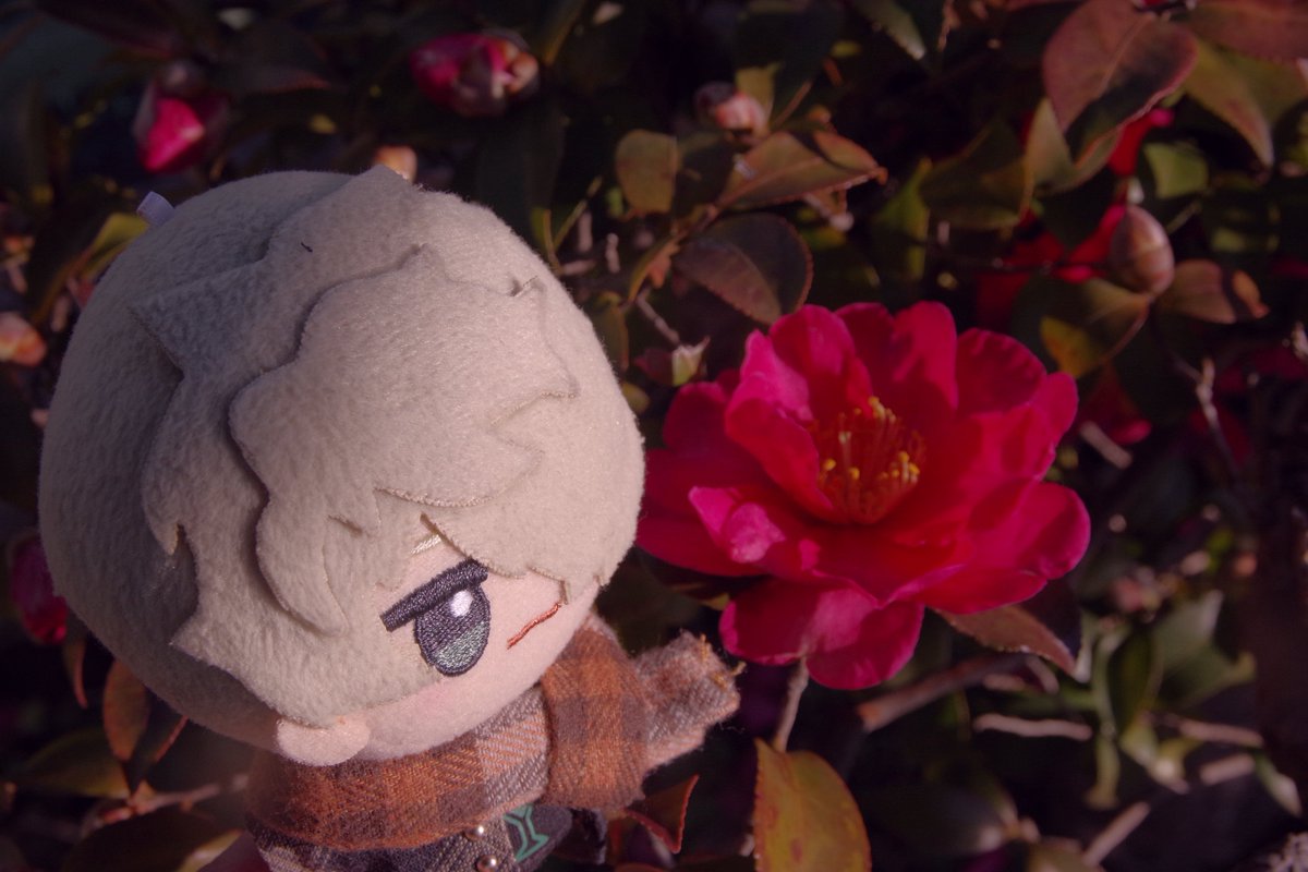 ゆん (@yun357) / Posts / X