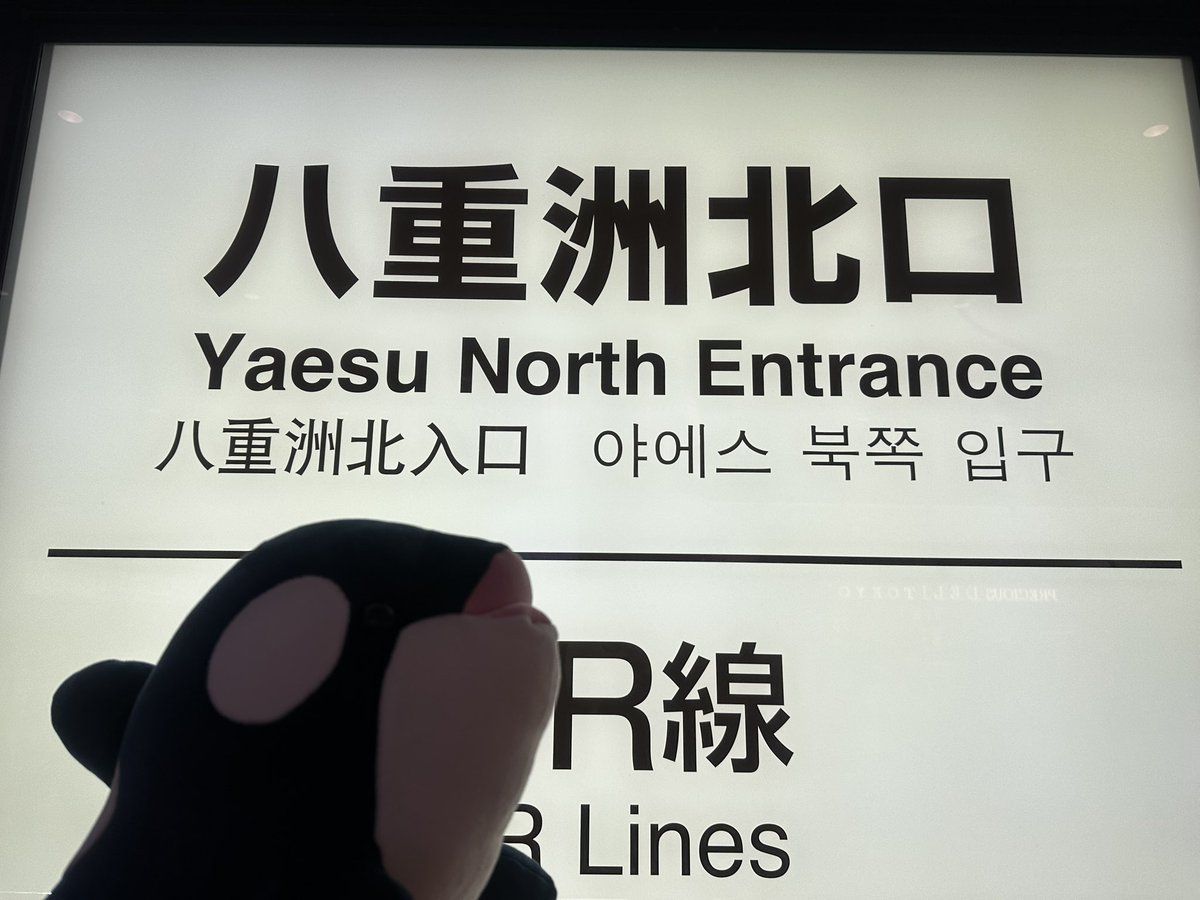 しようこ (@syocococo) / Posts / X