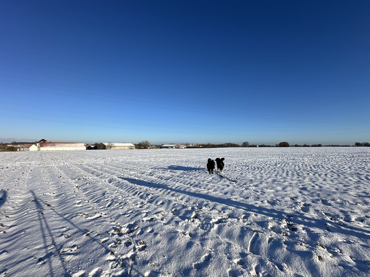 alexandermanhae's tweet photo. #vrtweer Wortegem : zondag 4 januari 2026 om 10:41. Alexander Manhaeghe https://t.co/SxurRIyydx