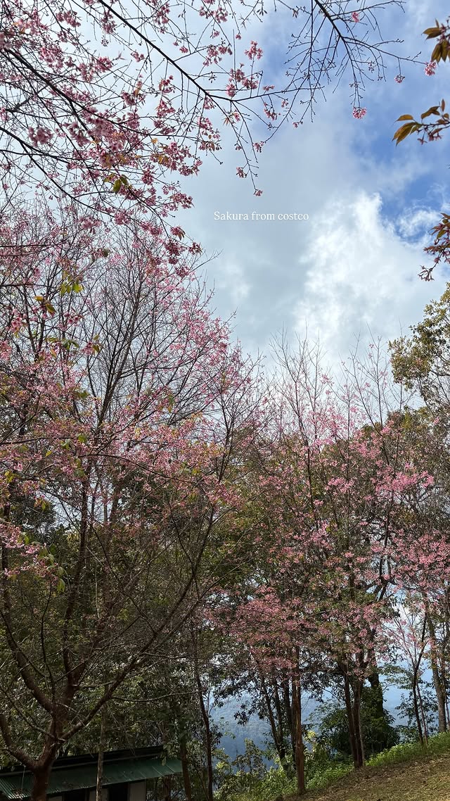 MickMonthonPH's tweet photo. [03.01.2026]

IGS Update

#mickmonthon #mickeymon #มิกมณฑล https://t.co/EXc0SdYQmX