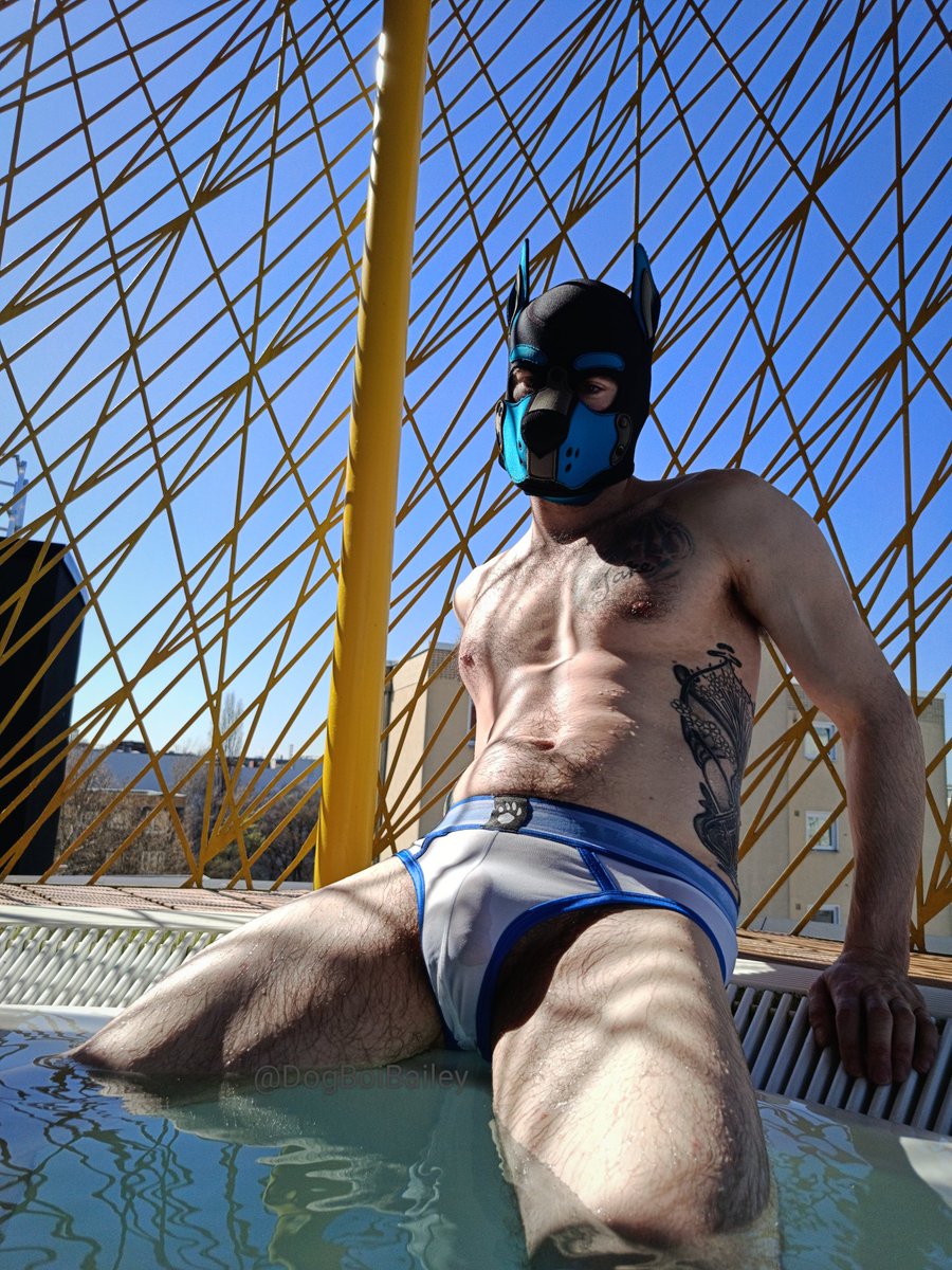 DogBoiBailey's tweet photo. Jacuzzis are meant for sharing, so who's joining me? 🐾💦🐕 https://t.co/xHkE9Qaoht