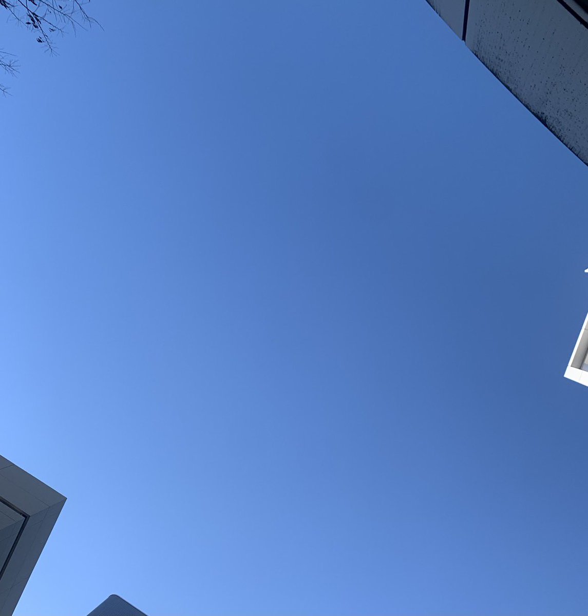 IMAMUU / イマムラタカアキ tweet media
