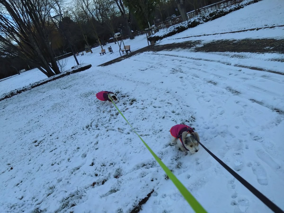 Ofye64 🇺🇦🇪🇺 tweet media