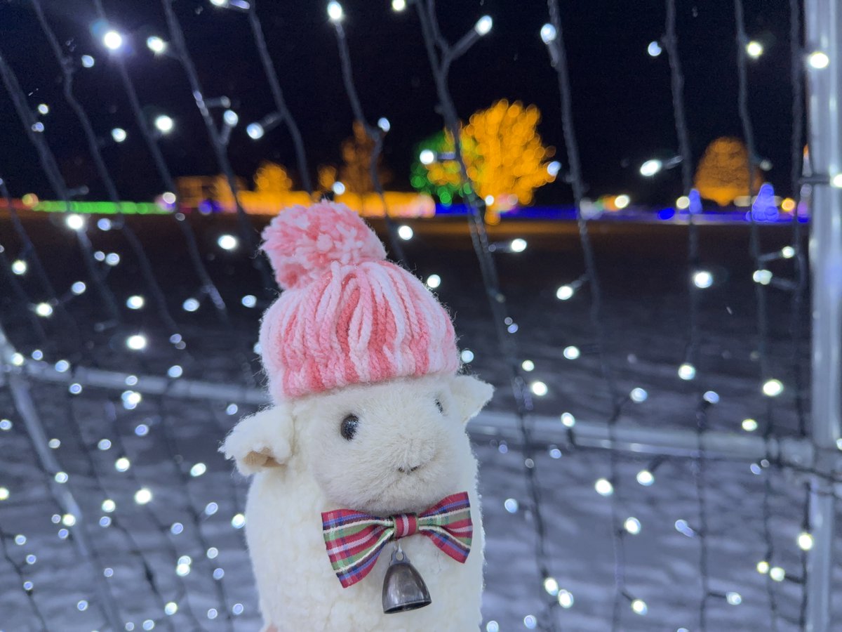 小岩井ページ 事業紹介｜小岩井農牧株式会社