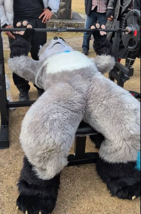 悔しかったり後悔するのは 本来成功する力が有ったから (っ´ω｀)っ